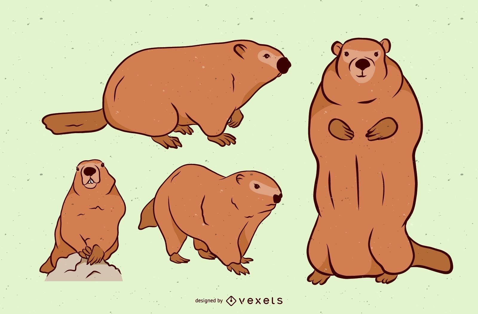 Brown Groundhog Illustration Set