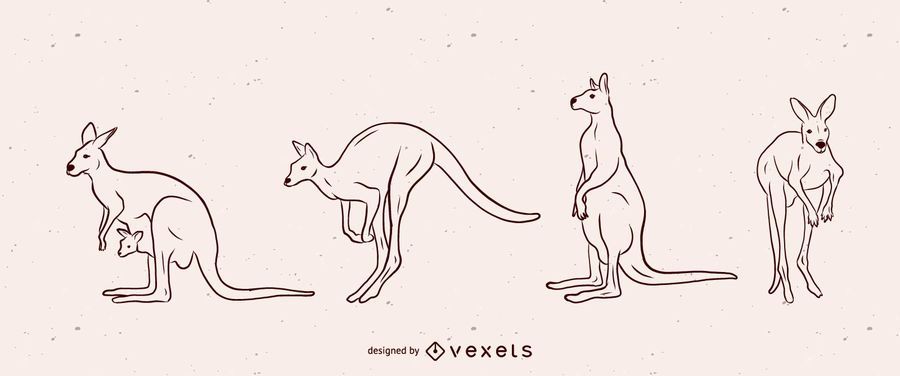 Kangaroo Vector Illustration Set Kangaroo Vector Illustration Set