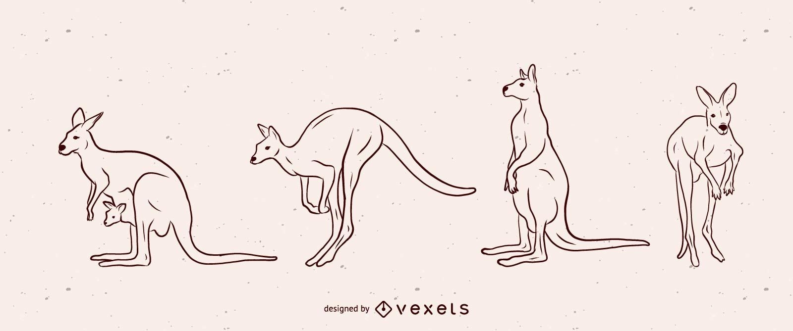 Kangaroo Vector Illustration Set