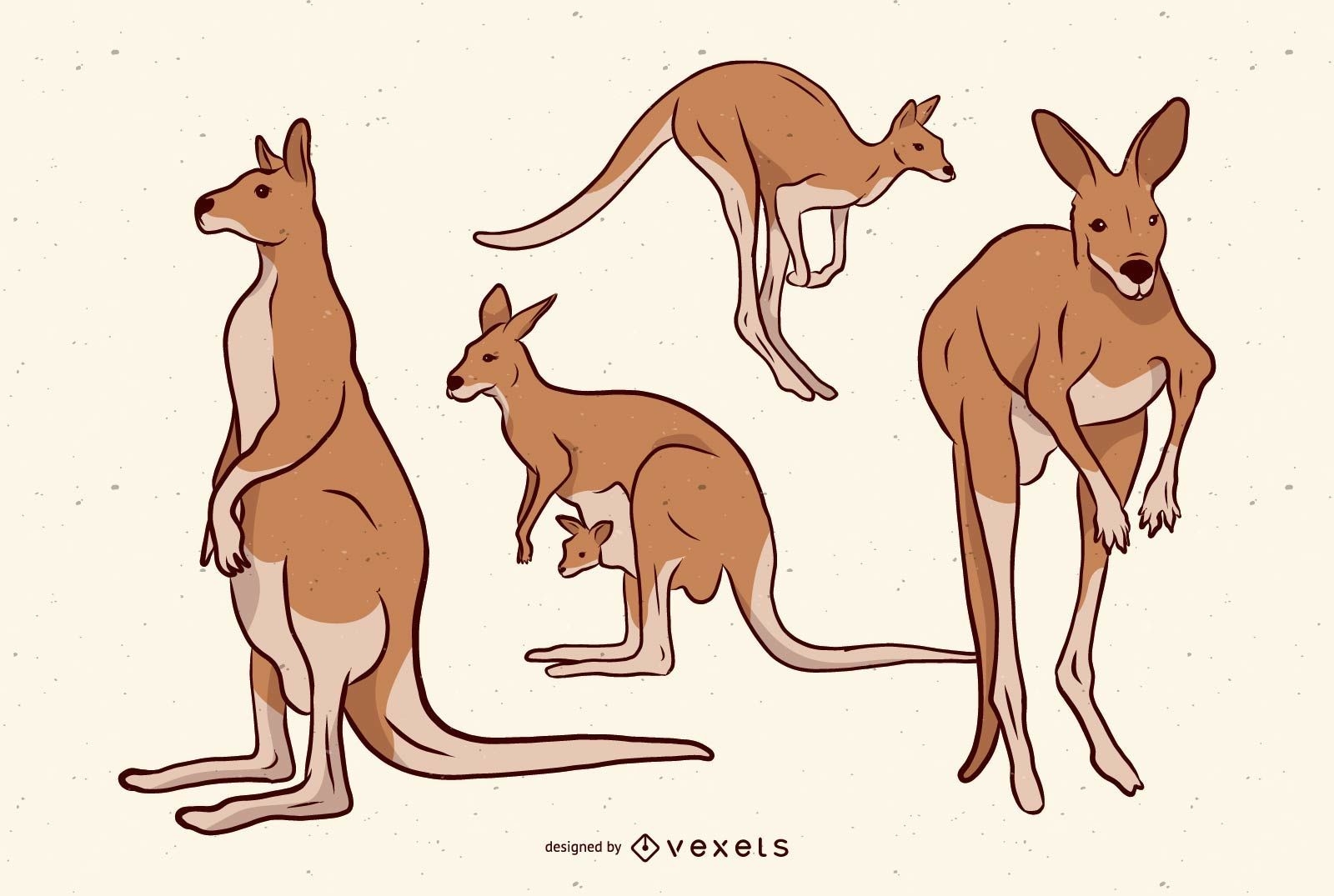 Brown Kangaroo Illustration Set 
