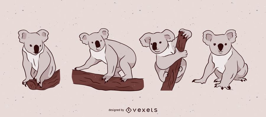 Conjunto de ilustração de urso coala cinza Conjunto de ilustração de urso coala cinza