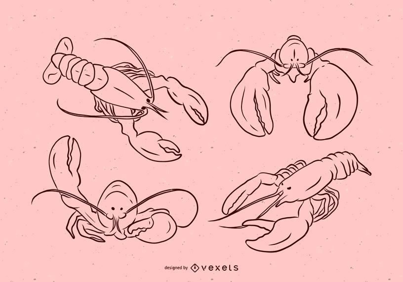 Loster Stroke Vector Illustration Set Loster Stroke Vector Illustration Set