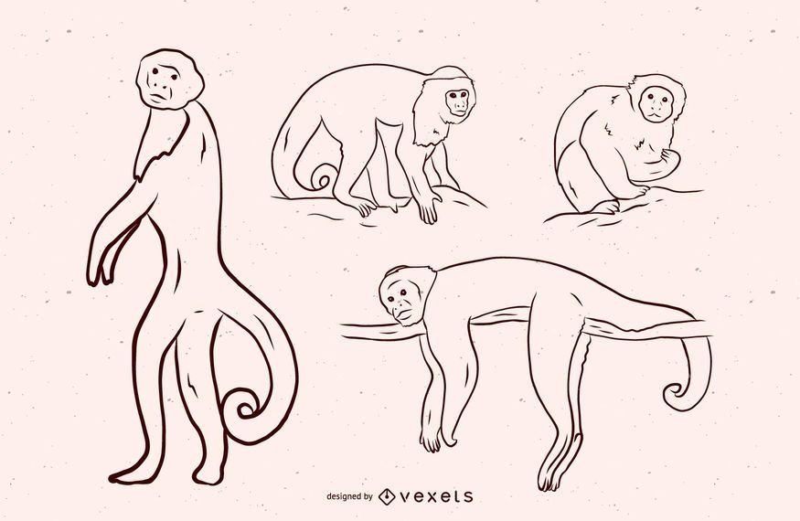 Schwarzweiss-Illustrationsentwurf des Affen Schwarzweiss-Illustrationsentwurf des Affen