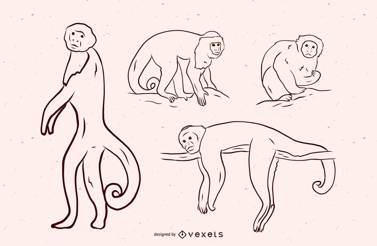 Design de ilustração em preto e branco de macaco