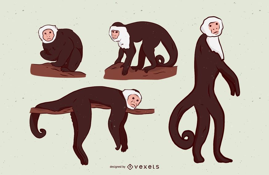 Monkey Illustration Set Design Monkey Illustration Set Design