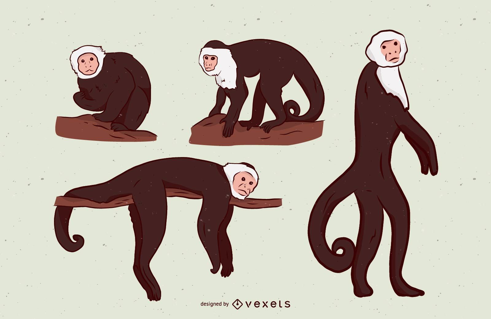 Monkey Illustration Set Design 