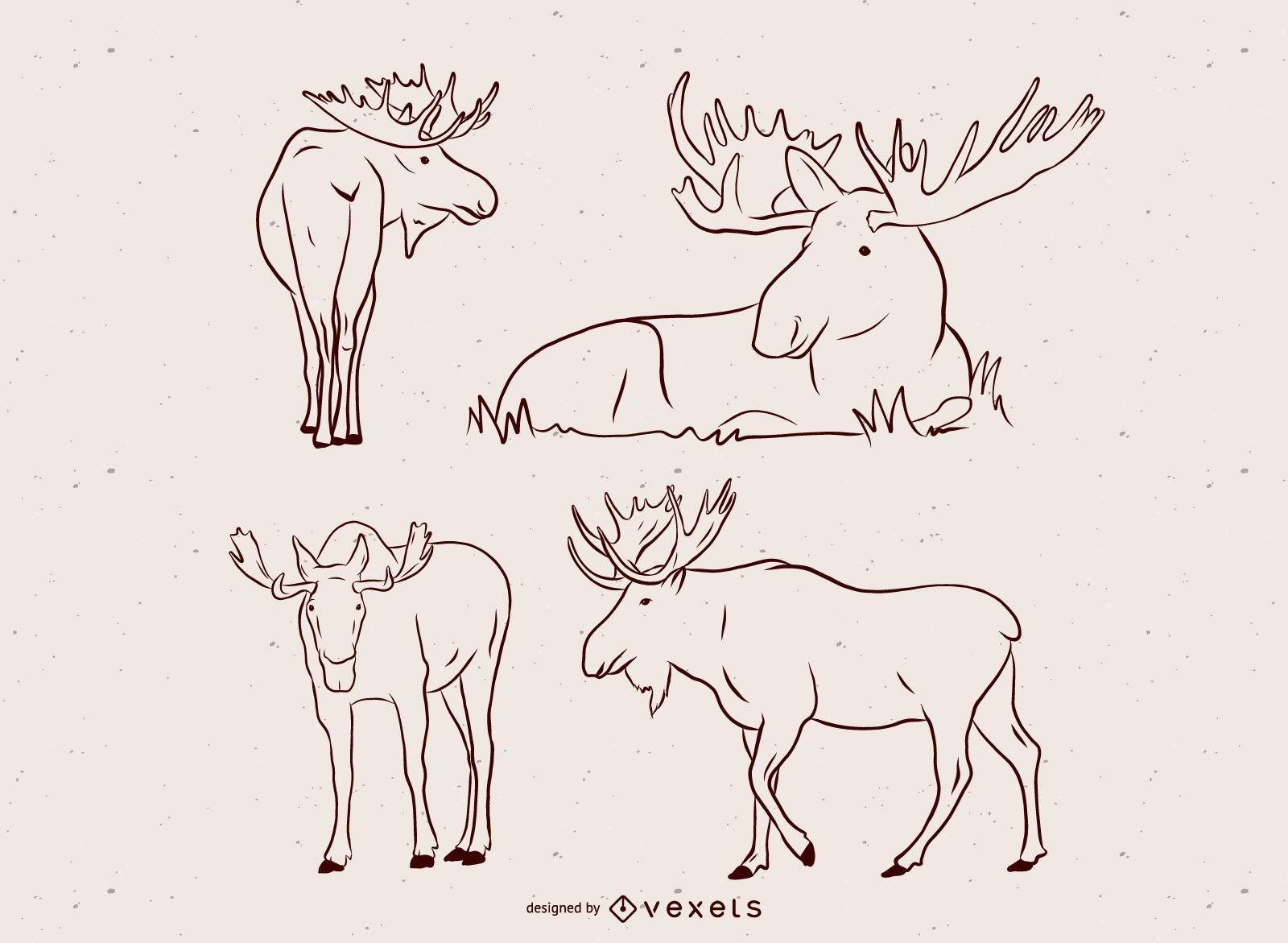 Moose Vector Illustration Set