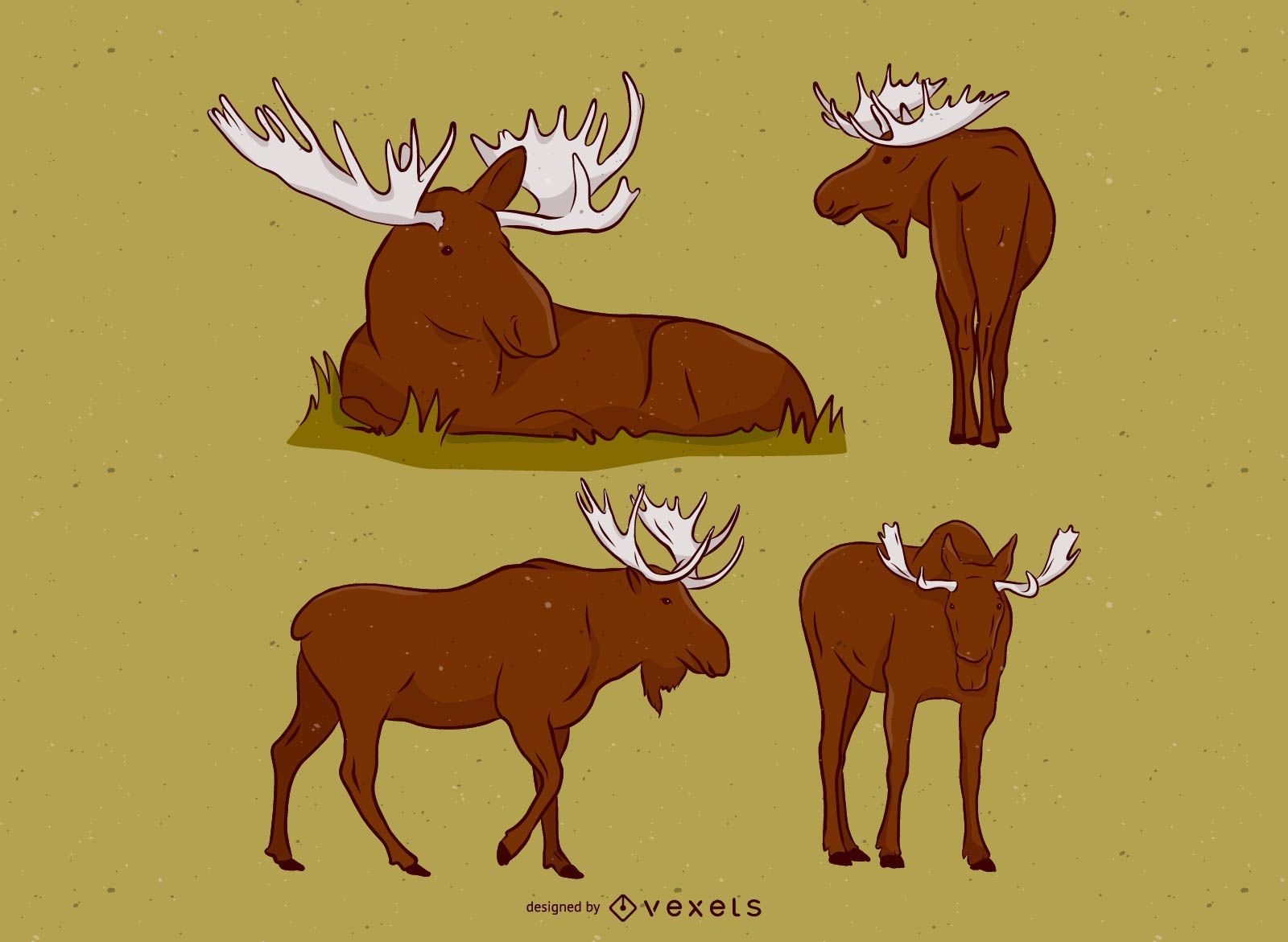 Moose Animal Illustration Set