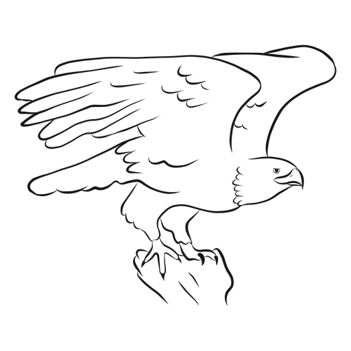 Bald eagle flying sketch vector PNG Design
