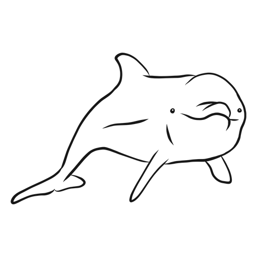 Bottlenose dolphin sketch vector