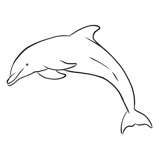Mergulho de golfinho em esbo?o Desenho PNG