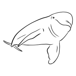 Dolphin Full Body Sketch PNG & SVG Design For T-Shirts