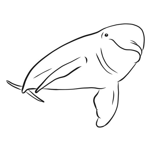 Desenho de corpo inteiro de golfinho