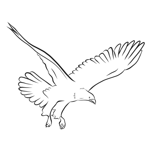 Adler im Flugskizzenvektor PNG-Design