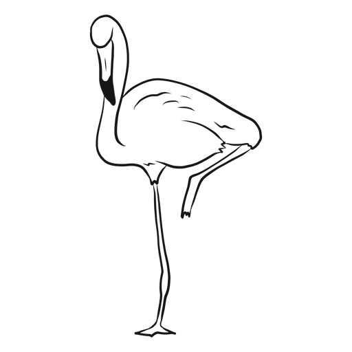 Flamingo de pie en un bosquejo de una pierna Diseño PNG