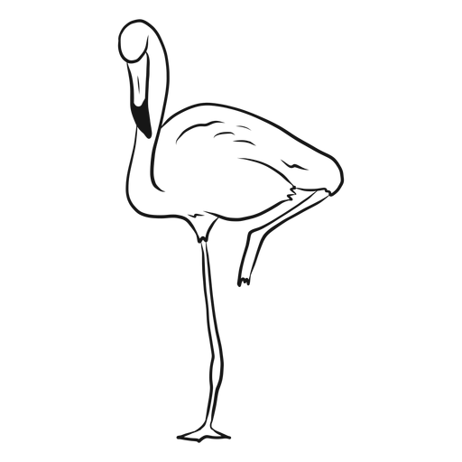 Flamingo standing on one leg sketch Transparent PNG Flamingo standing on one leg sketch Transparent PNG