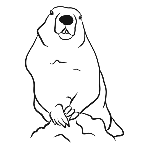Vector de dibujo animal de marmota Diseño PNG