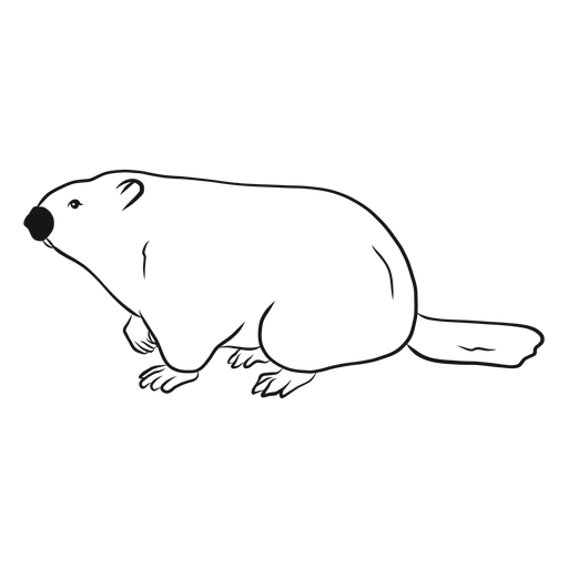 Vetor de esboço de vista lateral da marmota Desenho PNG