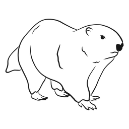 Groundhog Sketch Illustration PNG & SVG Design For T-Shirts