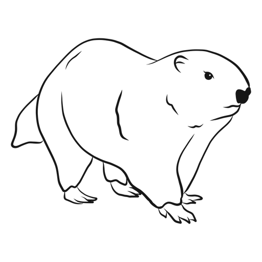 Ilustración de dibujo de marmota Diseño PNG