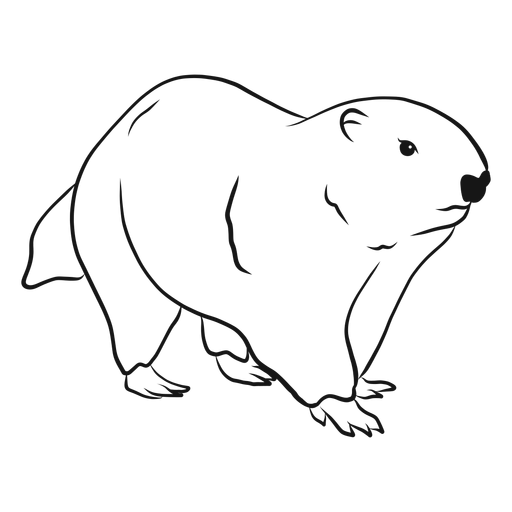 Ilustraci?n de dibujo de marmota Diseño PNG