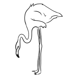Hand drawn flamingo illustration PNG Design
