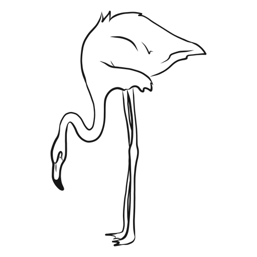 Hand gezeichnete Flamingoillustration PNG-Design