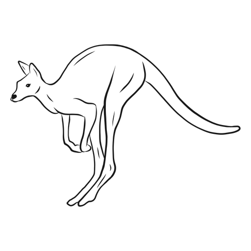 Ilustración de esbozo de canguro saltando Diseño PNG