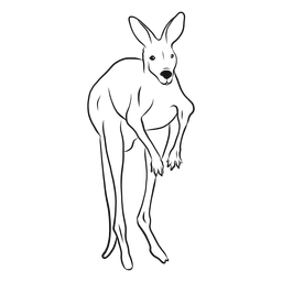 Ilustración de dibujo de canguro Diseño PNG