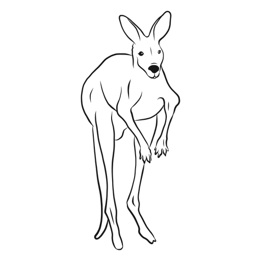 Kangaroo sketch illustration PNG Design