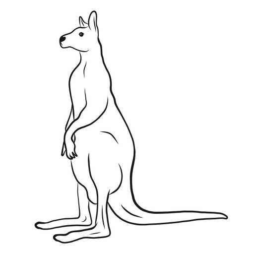 Kangaroo standing sketch vector PNG Design