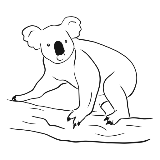 Koala bear sketch vector PNG Design