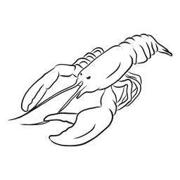 Ilustración de boceto animal de langosta Diseño PNG