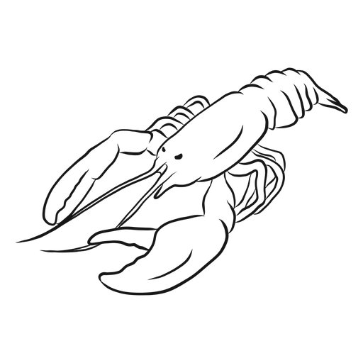 Lobster animal sketch illustration PNG Design