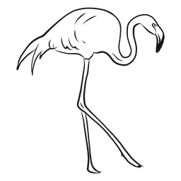 Dibujo de flamenco caminando alto Diseño PNG