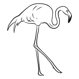 Tall walking flamingo sketch PNG Design Transparent PNG