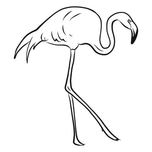 Boceto flamenco caminando alto Transparent PNG Boceto flamenco caminando alto Transparent PNG