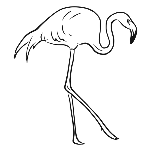 Hohe gehende Flamingoskizze PNG-Design