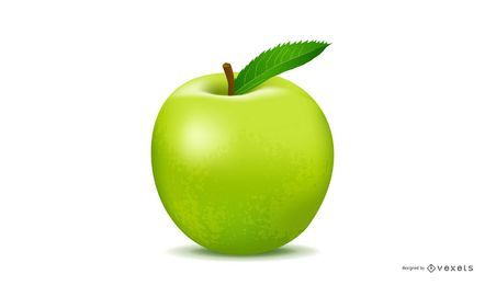 Realistic Green Apple Vector Realistic Green Apple Vector