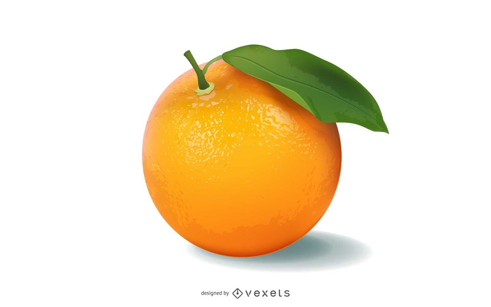 Vetor laranja realista