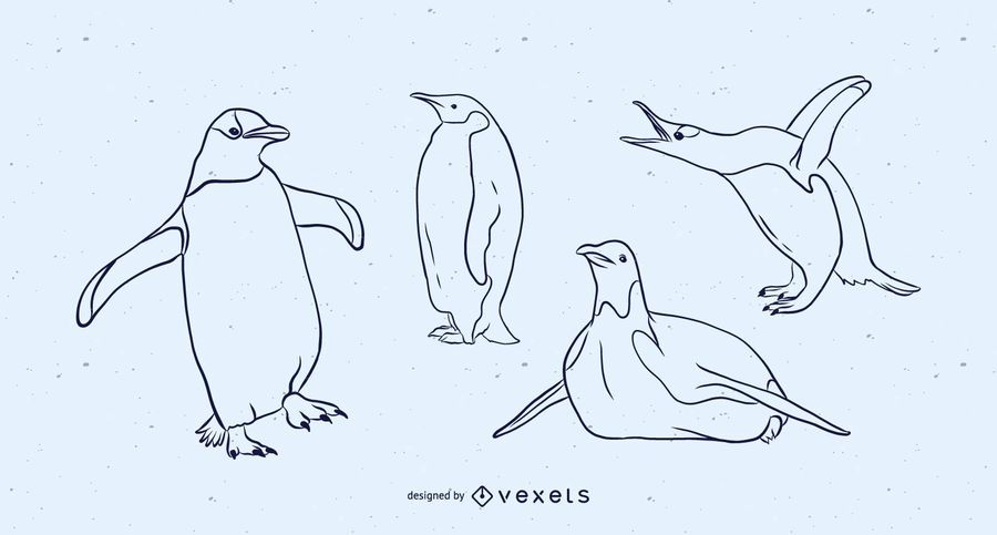 Pingüino blanco y negro vector conjunto Pingüino blanco y negro vector conjunto