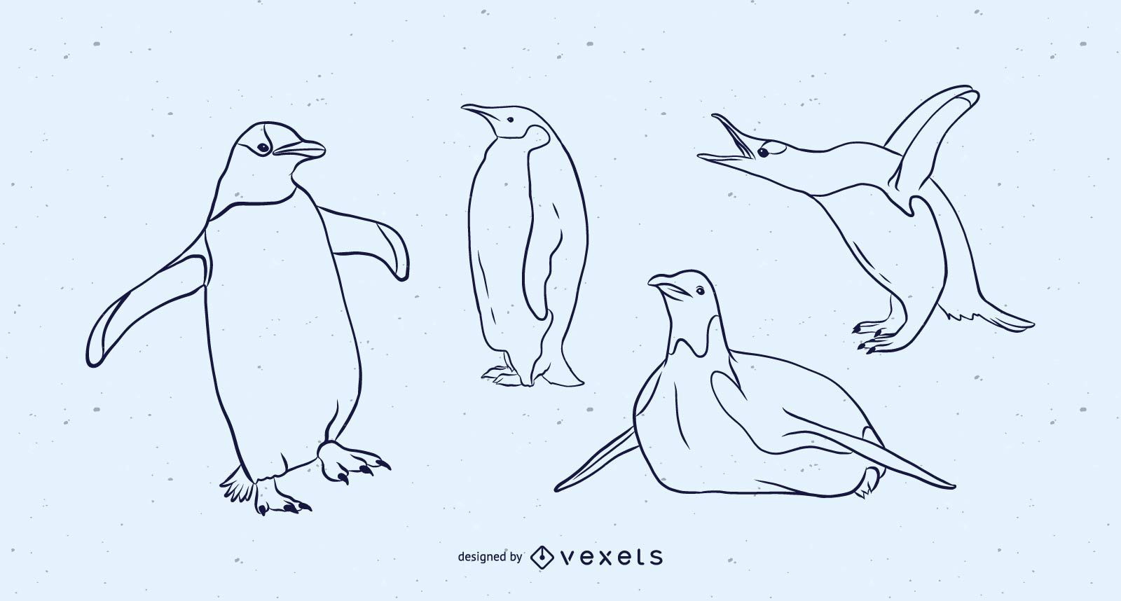 Pingüino blanco y negro conjunto de vectores