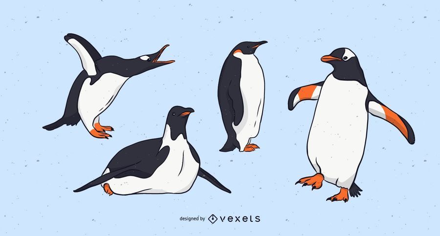 Penguin Illustration Set Penguin Illustration Set