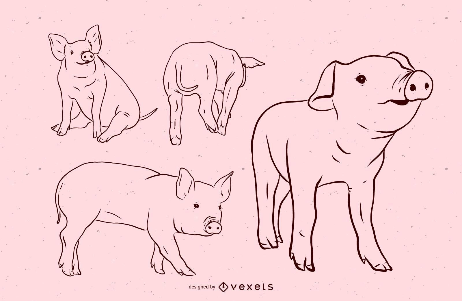 Conjunto de ilustración de trazo de cerdo