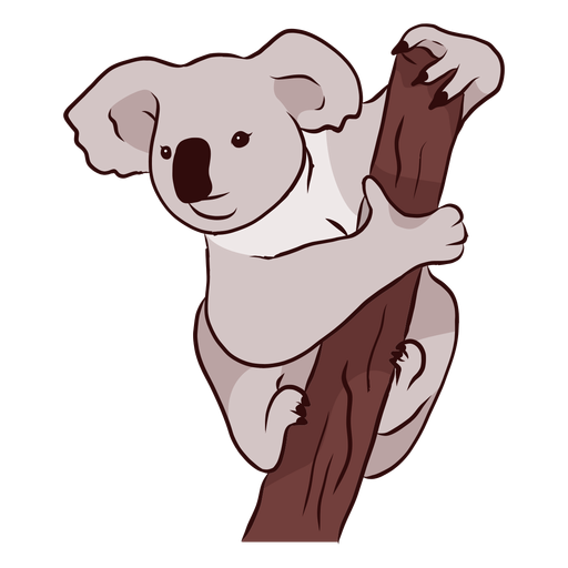 Download Branch ear koala leg nose illustration - Transparent PNG ...