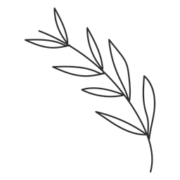 Desenho de folha de galho Desenho PNG