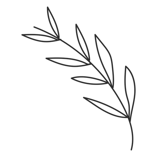 Desenho de folha de galho