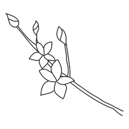 Bosquejo de rama Diseño PNG