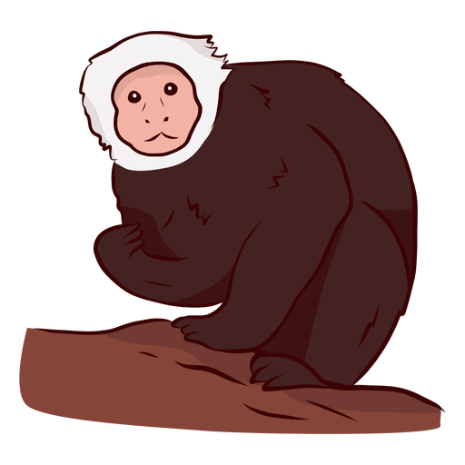 Capuchin monkey leg illustration PNG Design