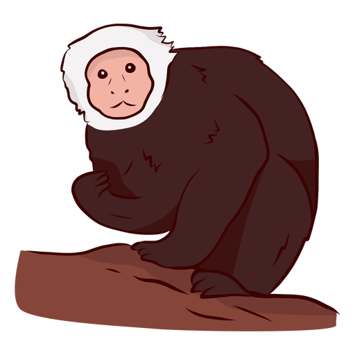 Design PNG E SVG De Ilustração De Ramo De Cauda De Macaco-prego Para  Camisetas